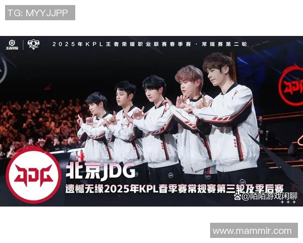 王者荣耀团队协作排行榜揭晓RNG强势跻身第三名引发热议