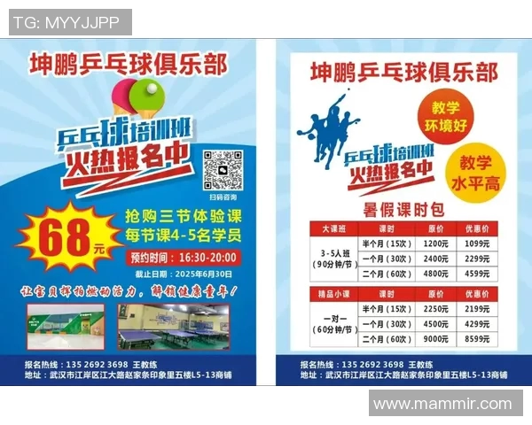 科学乒乓球训练:提升耐力的有效方法与技巧分享 科学乒乓球训练:提升耐力的有效方法与技巧分享