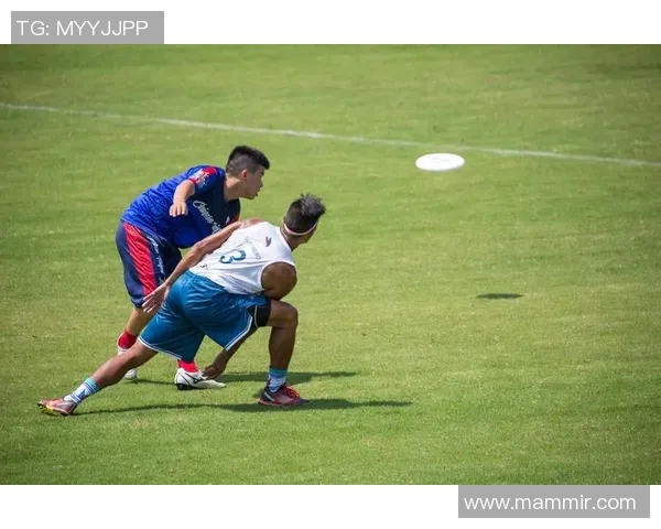 飞盘竞技与团队精神的完美结合：深入深圳飞盘队的内心世界