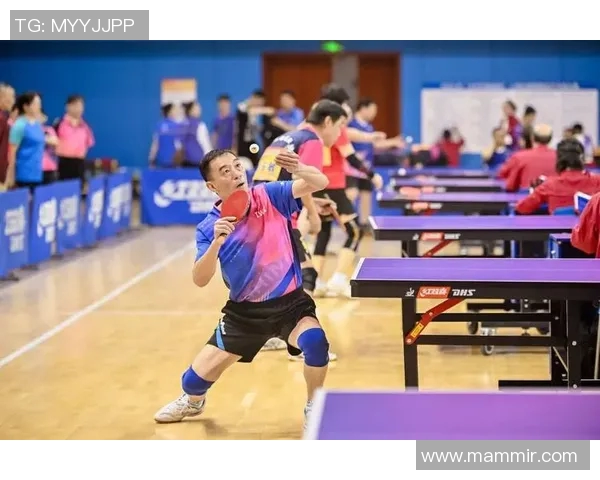 乒乓球的魅力与精神：深入了解上海乒乓球队的训练与文化