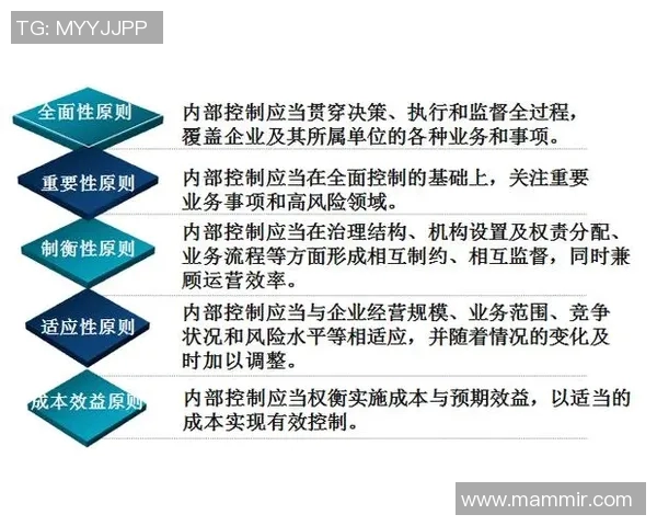 南京乒乓球队运营体系与战术分析的全面探讨与实践经验分享