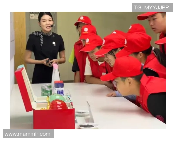 武汉网球队转型之路探秘：从传统强队到现代化竞技新风尚