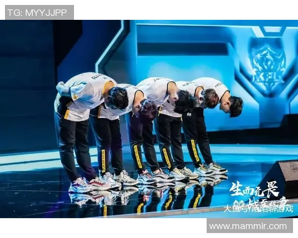 深入解析EDG战队的团队配合与数据表现分析