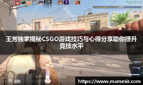 芒果体育官网
