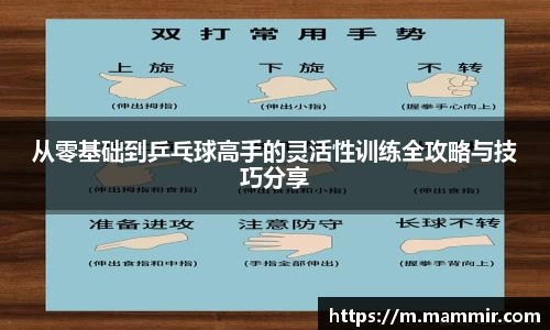 芒果体育官网