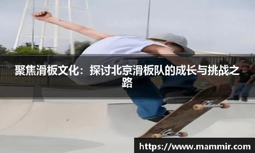 芒果体育app官网入口