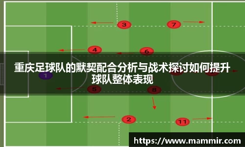 芒果体育app官网入口