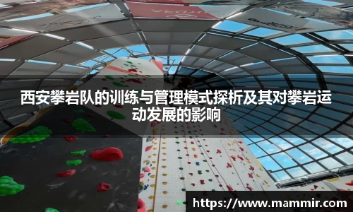 芒果体育app官网入口
