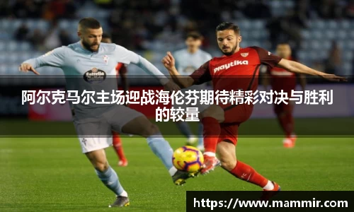芒果体育app官网入口